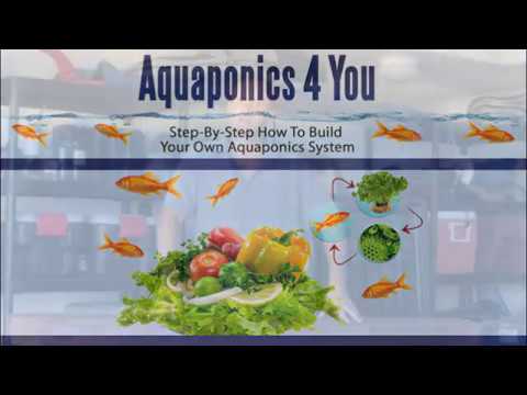 Aquaponics For Beginners Diy Backyard Aquaponics Youtube