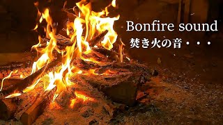 Relaxing Fire Sounds - Relaxing Fire Burning Video & Crackling Sounds. by よかじかん【Mitsu’s Free Time】 55,379 views 2 years ago 1 hour
