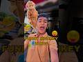 Funny Monkey Dance &amp; Crazy Reaction 😂🐒 Viral Shorts #shorts #funny #edits #monkeydance
