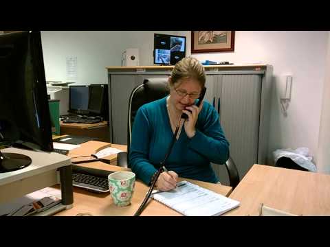 How to answer the phone at work