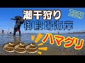 潮干狩り編 2025：三重県御殿場海岸 ! 今年の天然ハマグリはどうかな？？