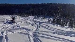 Pine16 3