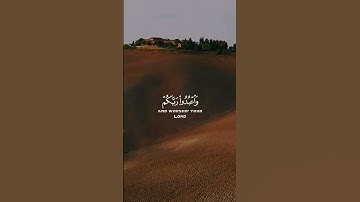 الاية 77 من سورة (الحج)/ شاشة سوداء #القرآن الكريم