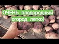 ПАН123 Вырастить БОЛЬШОЙ УРОЖАЙ картофеля клубники томатов создать плодородие почвы ЛЕГКО