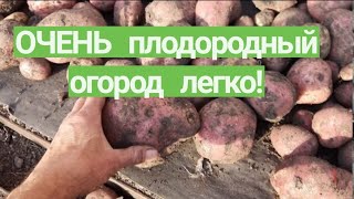 Урожайный огород правильное земледелие Как вырастить УРОЖАЙ