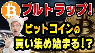 ビットコインで稼げるチャンスが近い？【初心者本を信じるな】富裕層が仮想通貨を買い始めた？ブルトラップとダウ理論