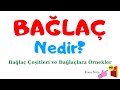 BAĞLAÇ Nedir? BAĞLAÇLAR ve Örnekleri I En Kapsamlı Anlatım