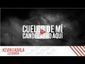 Sia - Chandelier (spanish version by Kevin Vásquez) [Lyric Video]