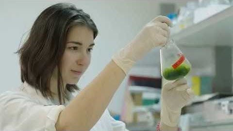 Ben-Gurion University: Where Inspiration Meets Excellence