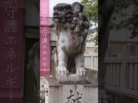 今この映像を見た瞬間から運気が加速し、災いを祓い幸福を呼び込む奇跡の開運エネルギー【強運・金運・吉兆】徳島県藍住町杉尾神社 #金運上昇 #運気上昇 #スピリチュアル #御利益 #浄化 #厄除け #守護