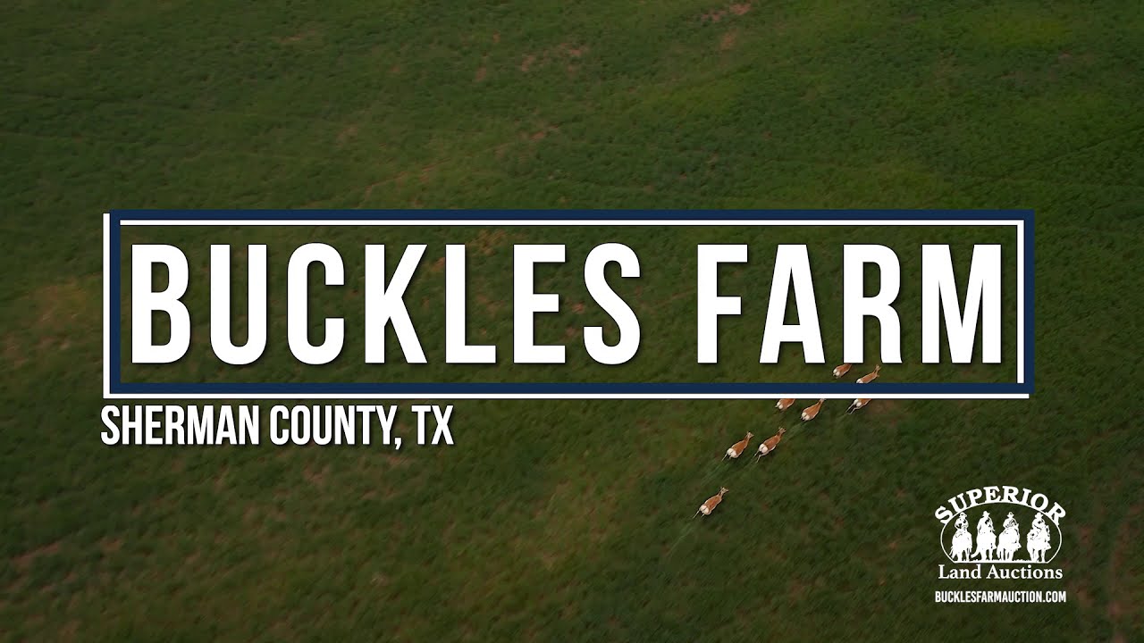 Buckles Farm Auction FINAL YouTube