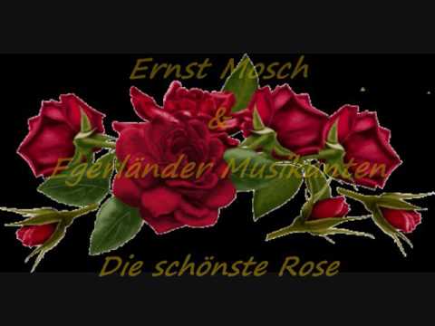 schönste hybride sonnenglut die schönste rose ernst mosch egerländer musikanten youtube schönste hybride sonnenglut die schönste rose ernst mosch egerländer musikanten youtube