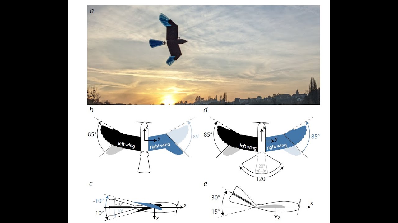 Sharper Turning Drones with Avian Inspired Wings and Tails - podcast #80