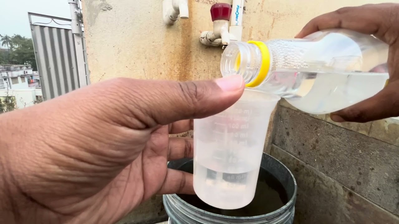 Rose Plant pH Control 🌹 | ভিনেগার দিয়ে নিরাপদ pH ঠিক রাখুন #rose #rosecare 