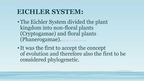 August Wilhelm Eichler classification system
