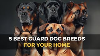 5 Best Guard Dog Breeds for Your Home - 🐶🛡️🏡