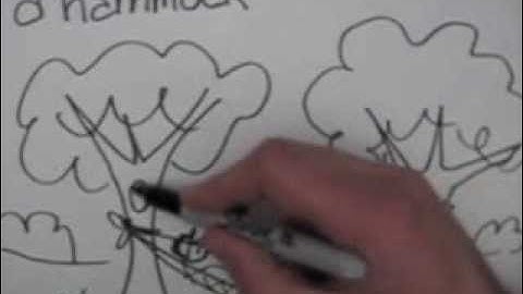 How to Draw a Hammock Step by Step | Drawing Ideas