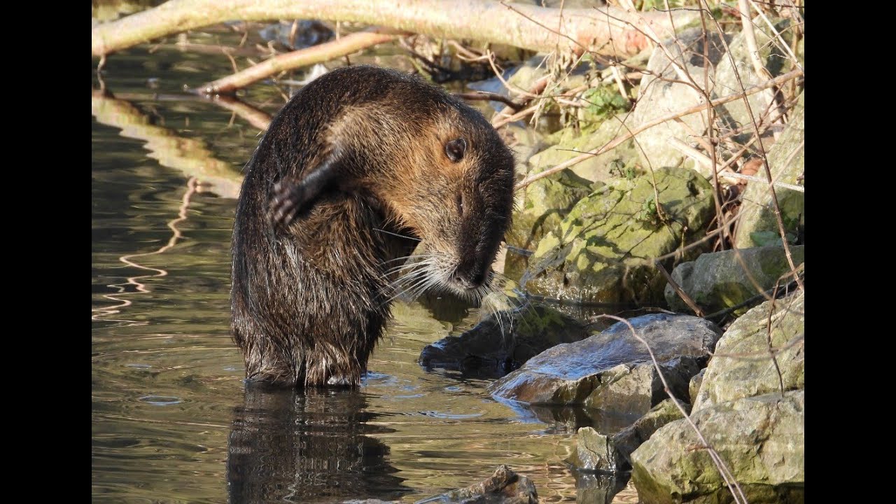 Surprise au château de Monceau