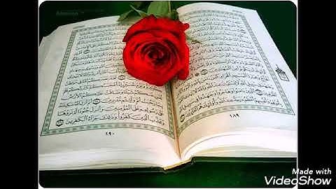 سورة الفلق مكررة بصوت فضيلة الشيخ وديع اليمني