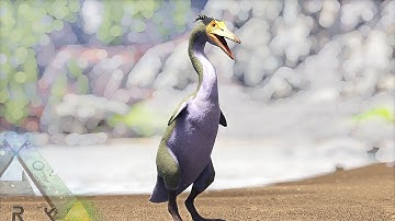 HESPERORNIS TAMING, EASY TRAP METHOD | TAMING EVERY CREATURE | ARK SURVIVAL EVOLVED EP47