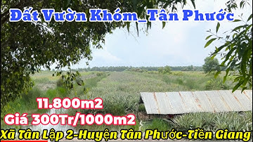 Tập 1432❤️🌸Đất Tân Phước, gần KCN Long Giang. 36*321 Giá 300Tr/1000m2. Xã Tân Lập 2, Tân Phước, TG
