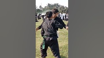 SAMBUNG GANAS PSHT SISWA VS WARGA BRUTAL #shorts