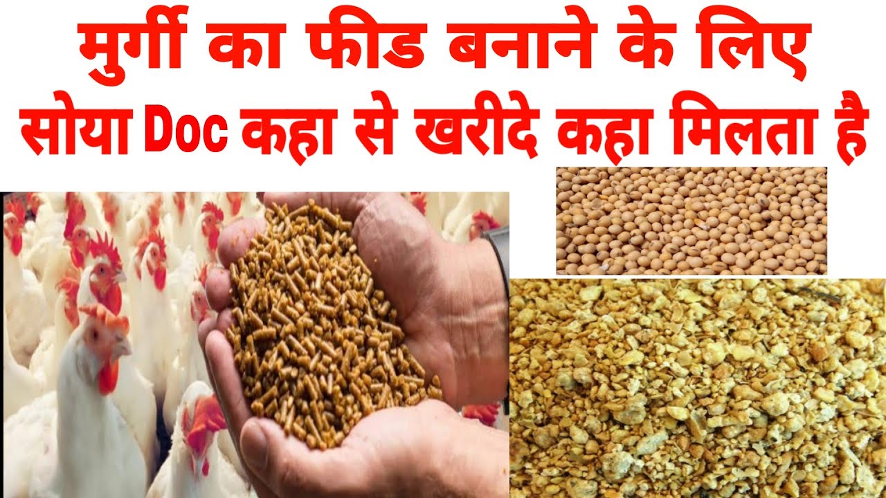 doc-soybean-doc-youtube