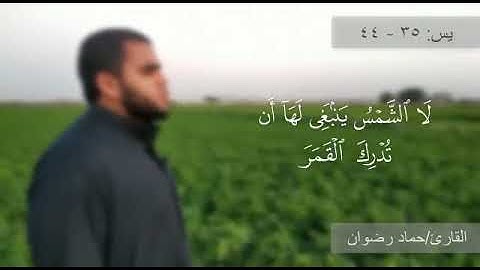 سورة يس 35-44 بصوت الشيخ حماد رضوان