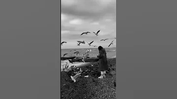 حالات واتس هلا والله علي الرخيصه كلبه الجنيه 