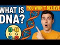 What Schools Never Told You About DNA! 😱 | Science in 3 Minutes! #dna #biology | Slide Science