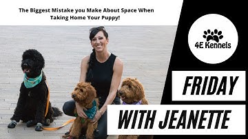 The Biggest Mistake you make with space when bringing home a puppy