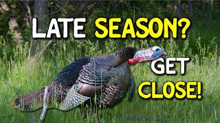 Late Season Gobblers Won’t Talk? Do This.