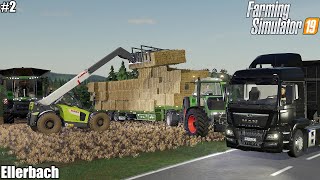 🇩🇪 Harvesting wheat, Collecting straw, spreading manure│Ellerbach│FS 19│Timelapse 2