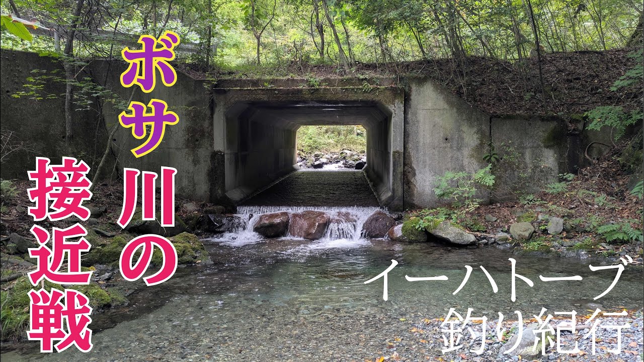 接近戦の川【フライフィッシング】ボサ川の釣り【イーハトーブ】