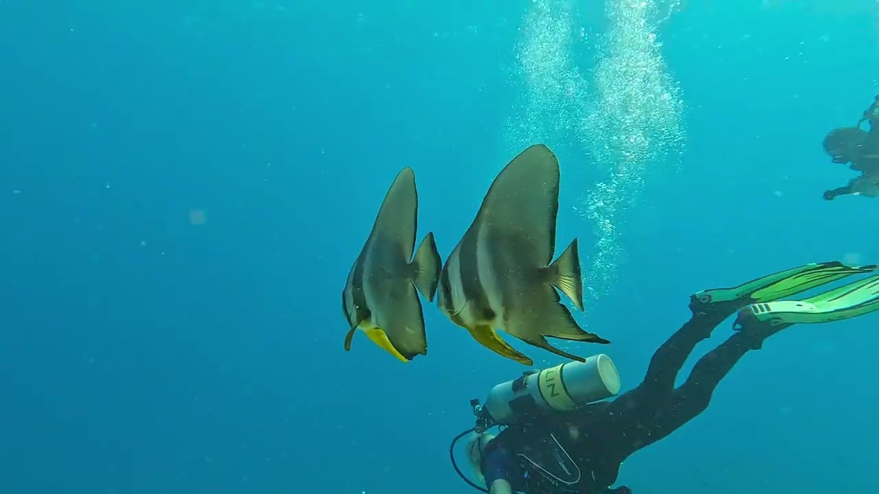 22 12 15 Thailande Similan KohBon Wrek