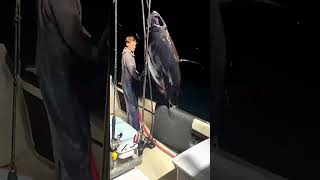 Вот как рыбачат взрослые мужики! 🎣☝️😄
