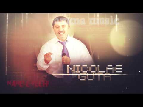 Nicolae Guta - Am atatea probleme