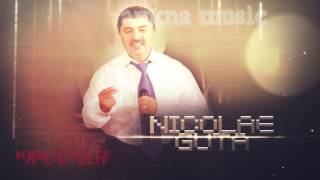 Nicolae Guta  -  Am atatea probleme chords