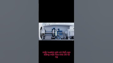 Điện gió hoạt động như thế nào? Bạn sẽ bất ngờ!  #Shorts #DienGio #NhaMayDien #KhamPha #nganhdien