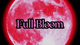 【スマブラSP】第一回/幻月～Full Bloom～ ラリックス、Lv.1、ましゃ、M0tsunabE、シオン、リム、マイルドなH.O、マーク/Mark and more【オフライン大会】