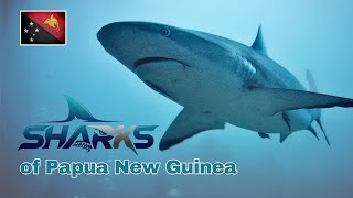 Kimbe Bay - Papua New Guinea