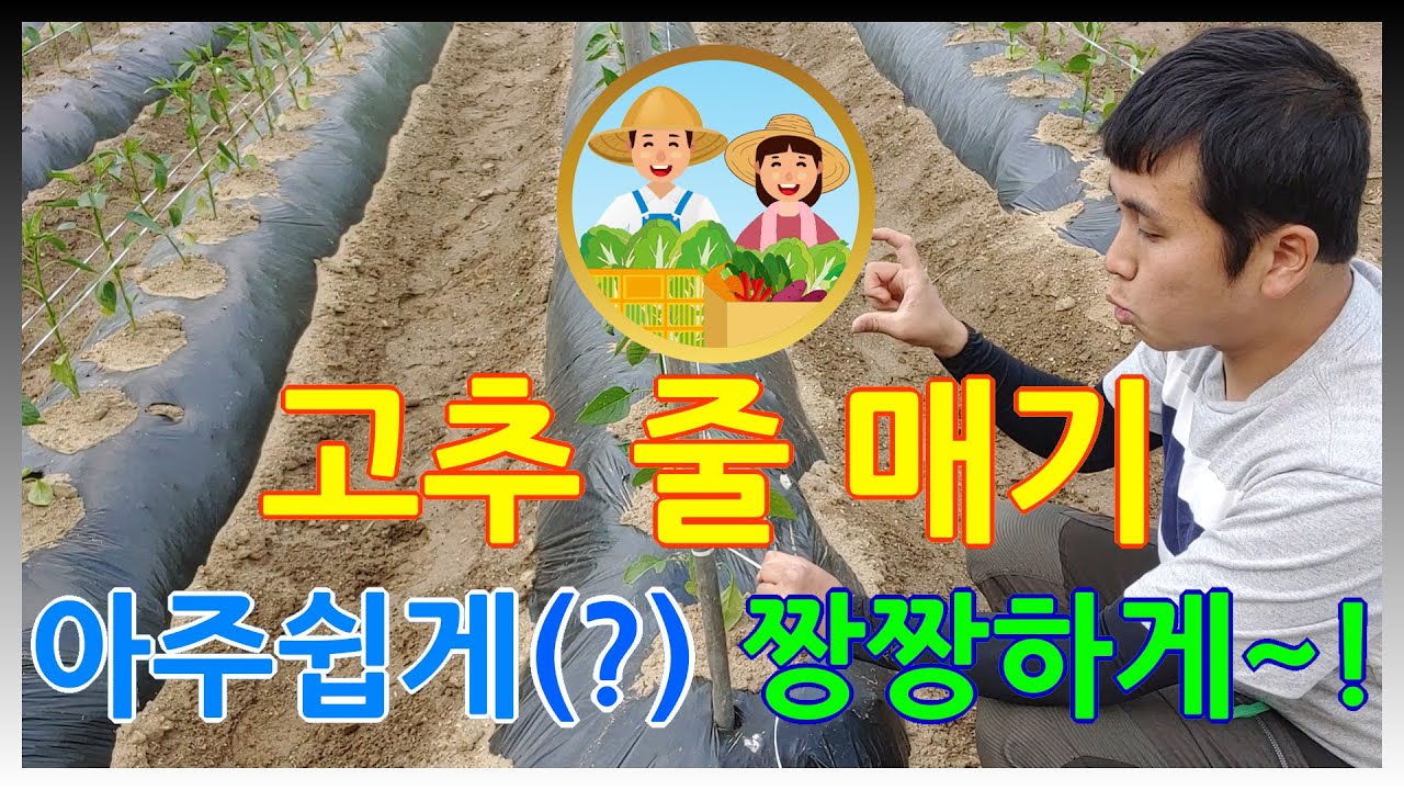 올 하반기, 이런 아파트를 발견하면 그땐 무조건 사야 합니다 (이광수 대표 | 풀버전)