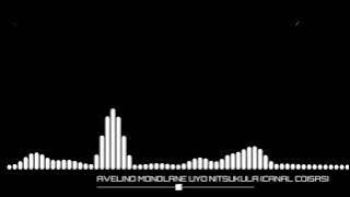 UYO NITSUKULA AVELINO MONDLANE | CANAL COISAS|