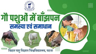 गौ पशुओं में बाँझपन- समस्या एवं समाधान | Infertility in cattle - problem and solutions | by Bihar Animal Sciences University, Patna 160 views 2 weeks ago 7 minutes, 29 seconds