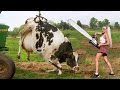 Dangerous Chainsaw Cow Milking &amp; Farming DIY Tutorial