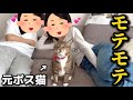 モテモテすぎて毎日大変そうな元ボス猫