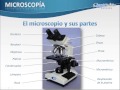 El microscopio      y   sus partes