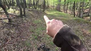 Day 4 Of Bow Hunting Turkey 2026 #outdoors #hunting #archery #turkey #fyp