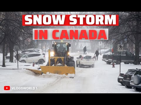 Massive Snowfall: Extreme Winter Snow Storm In Canada And Car Accident ...