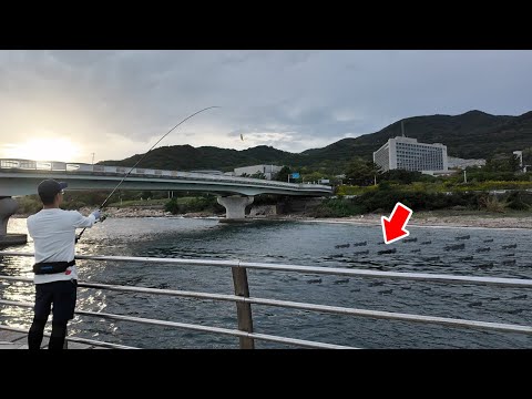 2024年に何処で何が釣れたか、全てを教えます。